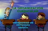 La Organización Curricular