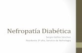 120530   nefropatía diabética pdf