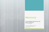 Memoria bases biológicas de la memoria