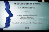 TIPOS DE RECOLECCION DE DATOS - LA ENTREVISTA.