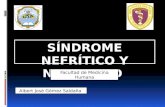 Sindrome nefrotico y nefritico