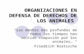 Organizaciones en defensa de los derechos de los animales