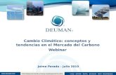 Mercado internacional del carbono