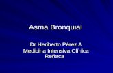 Asma Bronquial Dr. Heriberto Pérez