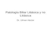 Patología biliar litiasica y no litiasica