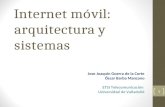 Internet móvil: arquitectura y sistemas