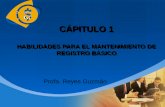 HABILIDADES Y CUALIDADES PARA EL MANTENIMIENTO DE REGISTRO BÁSICO