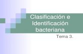 clasificación e identificación bacteriana