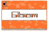 Bloom Julio24