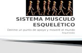 Sistema Musculo Esqueletico