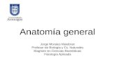 AnatomíA General I