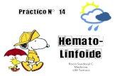 Practico 14 hematolinfoide