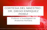 Columna Vertebral Dr Enriquez Perez