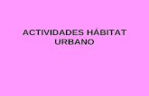 Actividades hábitat urbano