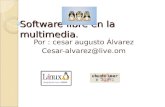 Software libre en la multimedia