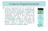 Cultura Y Valores Organizacional