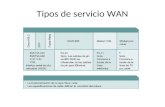 Tipos de servicios wan