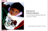 El Mexico Profundo - Diversidad Cultural