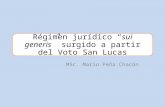 Régimen jurídico “sui generis” surgido a partir del voto san lucas