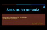 Secretaría y patrimonio - Ayuntamiento de Alzira