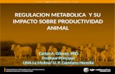Regulación metabólica: Dr. Carlos Gomez