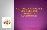 4.1. lesiones del aparato locomotor
