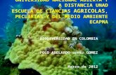 Importancia de la biodiversidad colombiana