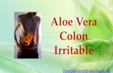 Aloe vera colon irritable