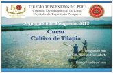 Cultivo de Tilapia en el Perú y el Mundo