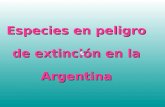 Especies en peligro de extinción en la Argentina