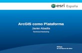 Día Esri en Málaga, Marzo de 2014: ArcGIS- La Plataforma Esri para la gestión de información geográfica