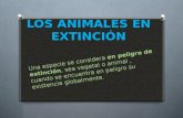 Los animales en extinción