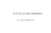 FITXA D'UN ANIMAL.3r 2013-2014