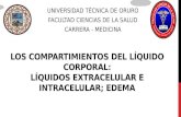 Los compartimientos del líquido corporal, líquidos extracelular e intracelular; edema