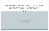 Herramientas del sistema operativo (windows)