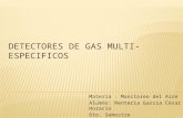 Detectores de gas multi especificos