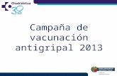 Campaña de vacunacion antigripal 2013.