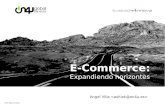 eCommerce: expandiendo horizontes