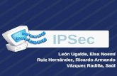 Internet Protocol Secure (IPSec)