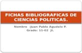 Fichas bibliograficas de ciencias politicas jp