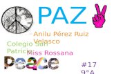 Projecto De La Paz