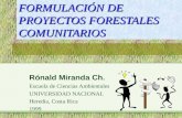 Formulación de proyectos forestales comunitarios