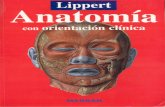 Anatomia con orientacion clinica Lippert-Estructura y morfologia del cuerpo humano