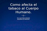 Como afecta el tabaco al cuerpo humano