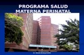 Programa de salud materna y perinatal
