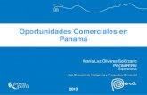 Oportunidades comerciales - Panamá