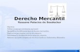 Derecho mercantil unidad i 2011 rossana