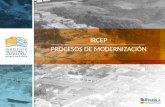Alejandro Pagés Tuñón IRCEP - Presentación Procesos de Modernización