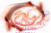 Embriologia, anomalías del sistema genital.