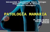 ANATOMIA PATOLOGICA DE MAMAS